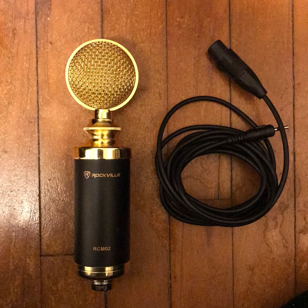 Recording Microphone/ 1/4 Auxiliary Chord